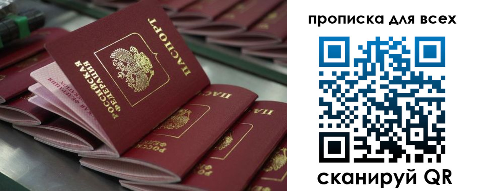 найти адрес прописки в Электростали